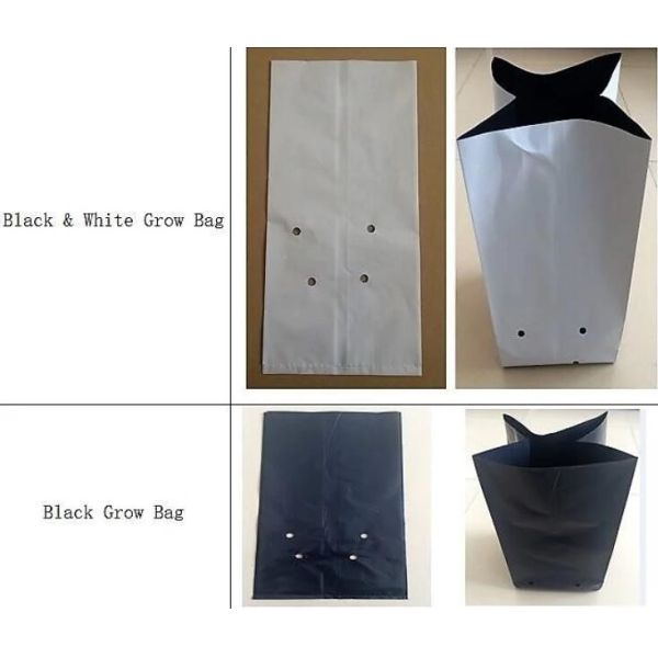 Garden used tomato plastic film cover,high light transmittance solar control seeding nursery greenhouse covers,100% virg