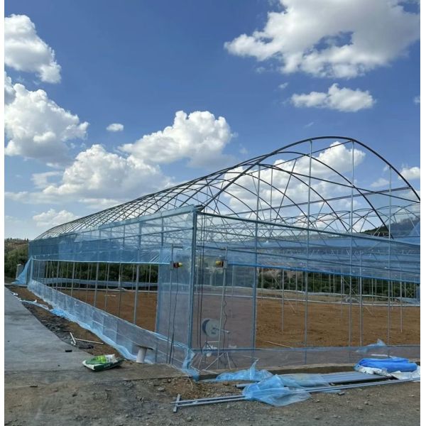 Innovative Multi-Span Film Greenhouse for Vertical Farming