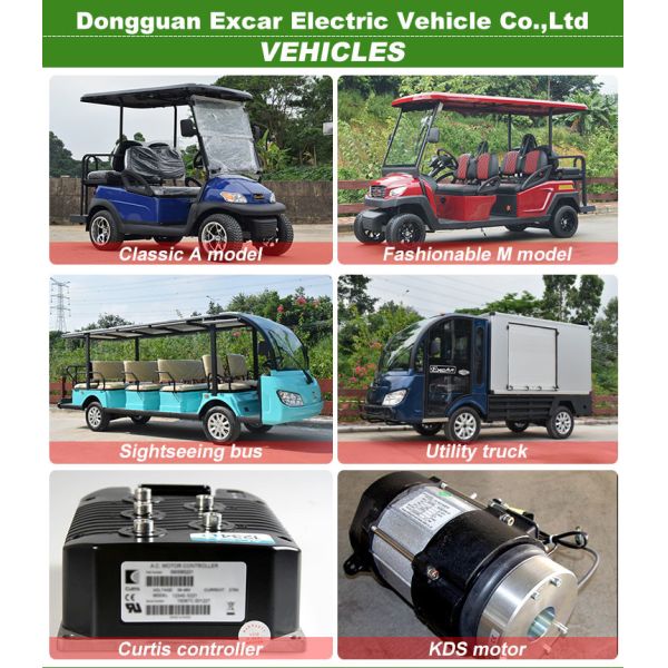 Lead Acid Li Ion Golf Cart Battery Charger 48V 15A For Low Speed Vehicle