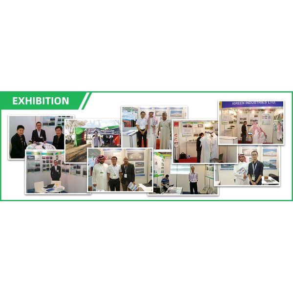 Commercial NFT Single Hydroponic System Growing Vegetable with Film Cover