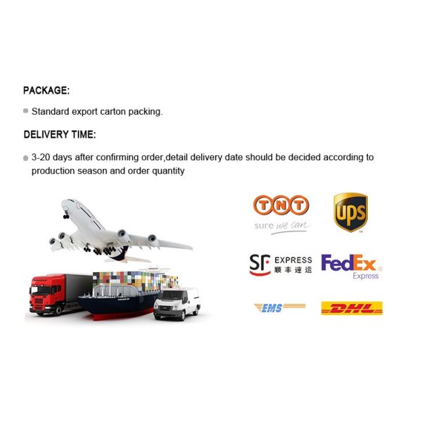 Lenticular Printing 15X15cm 3D Greeting Card With Envelopes