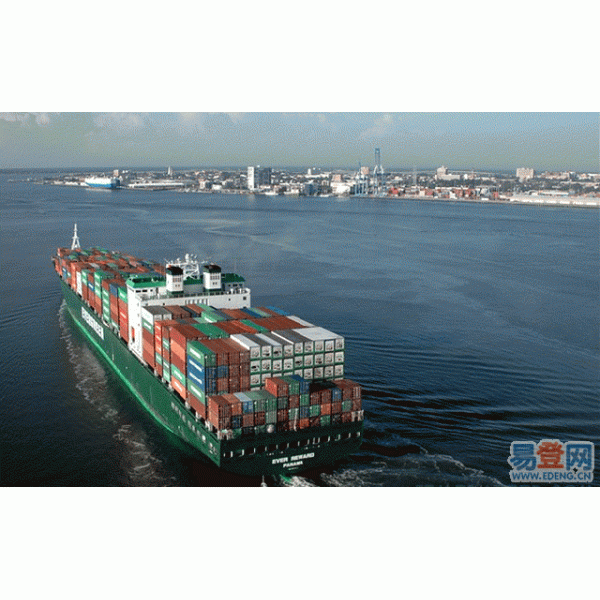 Green Color Printing Stainless Steel Electric tea Kettle