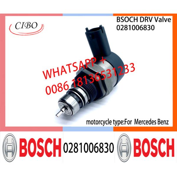 BOSCH DRV Valve 0281006830 Control Valve 0281006830 FOR Mercedes Benz