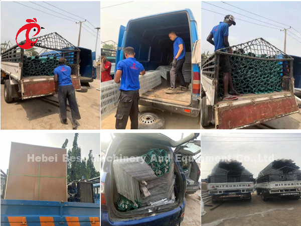 Electric Galvanized Layer Poultry Farm Cage Anti Rust Layer Battery Cages Emily