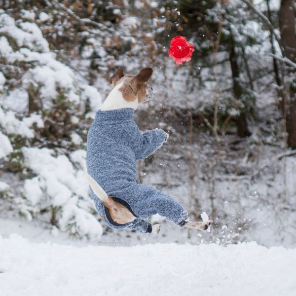 Knitted Fleece Overall Warm Dog Coats Raglan Faux Fur Backing