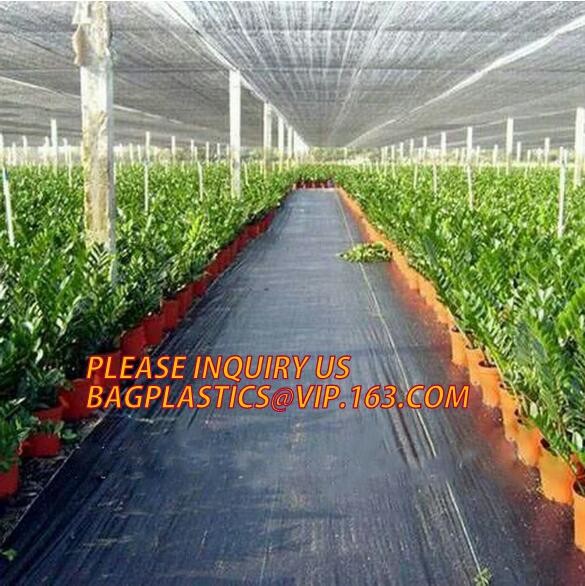 Garden used tomato plastic film cover,high light transmittance solar control seeding nursery greenhouse covers,100% virg