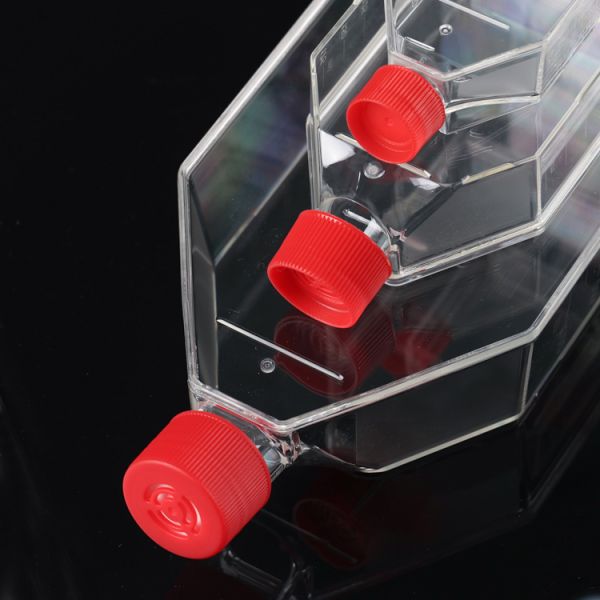 cell culture flask Laboratory Sterile T15 T50 T75 T175 Cell Culture Flasks Non-Pyrogenic Vented Cap Seal Cap