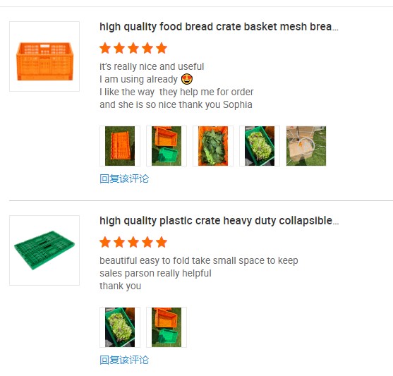 PE Storange Collapsible Folding Crate for Moving and Stacking Fruit Vegetable Baskets