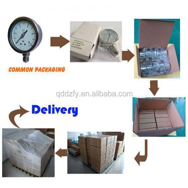 Compound Pressure Gauge Vaccum And Positive Pressure Manometer 63mm 100mm