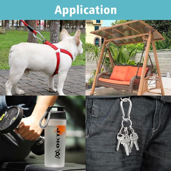 Polished Finish Stainless Steel Carabiner Snap Spring Hook Clip with OEM Acceptance