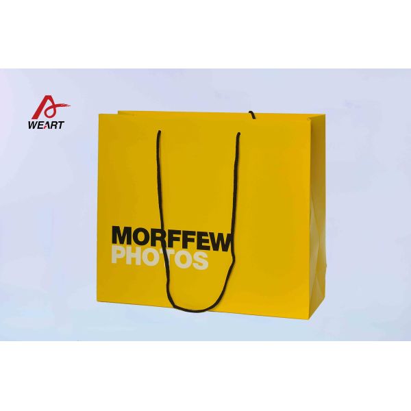 157 Gsm Art Paper Bags 2 Color Printing For Clothing Store Packaging