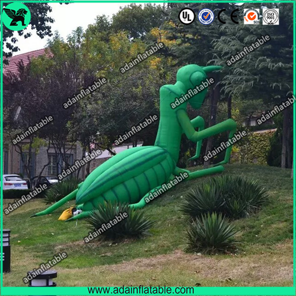 Inflatable Mantis