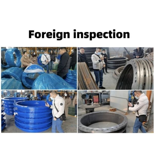 10" Double Flanged Dismantling Joint Carbon Steel Expansion Pipe Metal Expansion Joint
