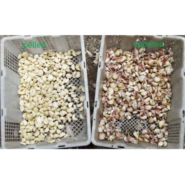 Dehydrated Vegetable Sorting Machine CCD Core Intelligent Sensor