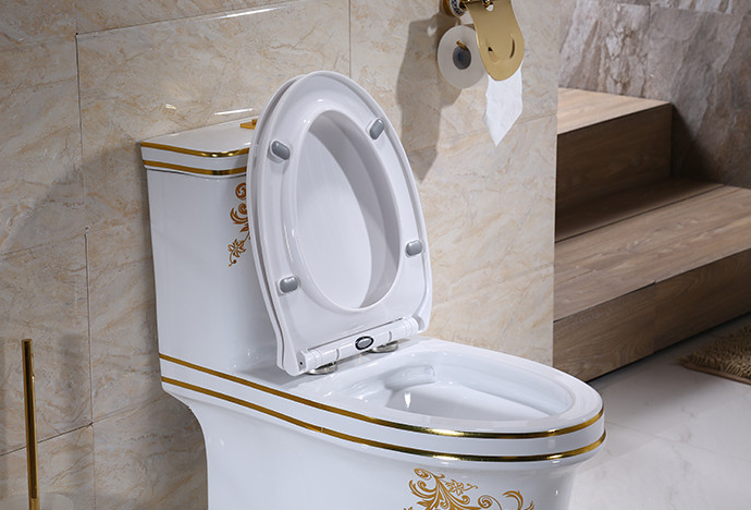 One Piece Dual Flush Toilet with Soft Close White Golden Ceramic