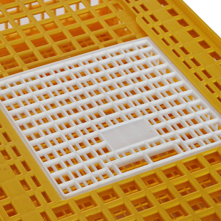 China Farm Plastic Poultry Transport Crates Yellow Chicken Carrier Cage wholesale