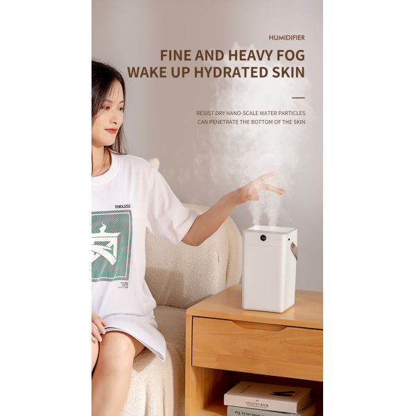 HOMEFISH Desktop 3L Double Spray Portable Ultrasonic Air Humidifiers For Office