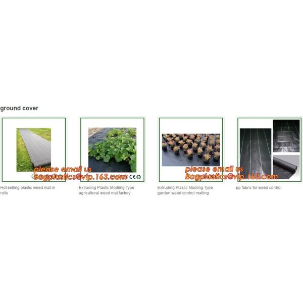 Garden used tomato plastic film cover,high light transmittance solar control seeding nursery greenhouse covers,100% virg