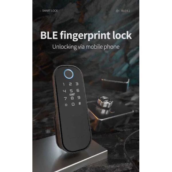 Smart Automatically Lock for Glass Doo with Screen 5 Ways Unlock and App Control