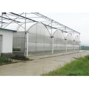 China Vegetable Agriculture Polyethylene Film Greenhouse Great Space Efficient Performance wholesale