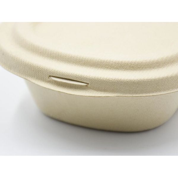 1000ml Biodegradable Straw pulp food container 2 compartments paper food tray with PP lid