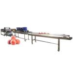 Hot selling Good Quality Factory Directly Drum Vegetable Washer by Huafood