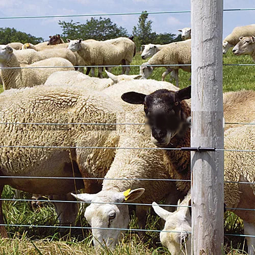 HDPE corner insulated tube with 5.15 mm hole fastened with staple available of pre-cut service for farm electric fence