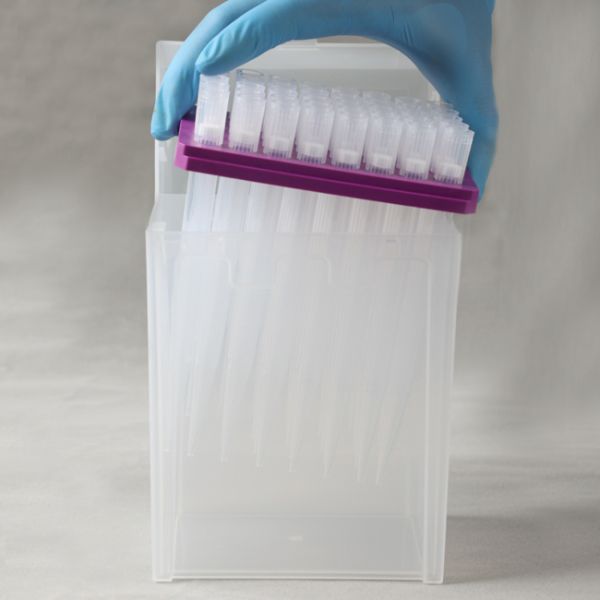 5ml 5000ul Sterile Pipette Tips With Filter Eppendorf 5ml 5000ul Sterile Pipette Tips With Filter Eppendorf