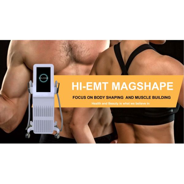 ABS EMS Body Sculpting Machine Commercial Electric EMS Muscle Stimulator