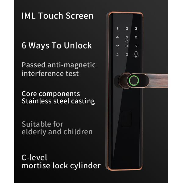 Euro Intelligent Door Lock Tuya Biometric Fingerprint Lock Black
