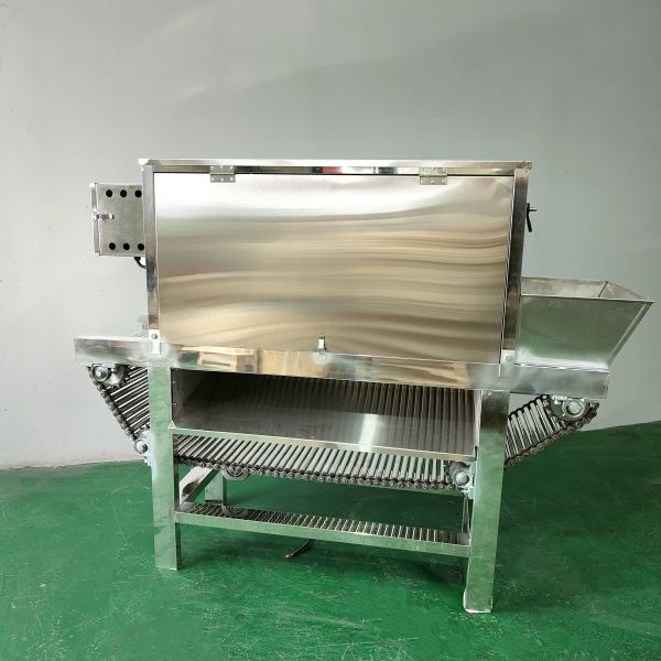Chain Driven Garlic Clove Peeling Machine Air Compressor Electric Dried Garlic Skin Removing Machine