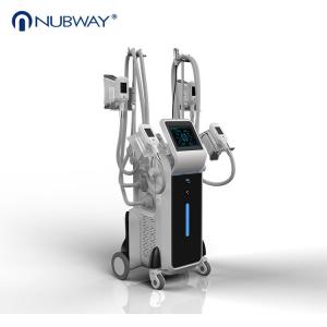 China CE approval most professional effective result 4 heads Cool Sculpting slimming machine wholesale