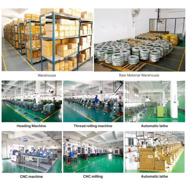 Factory Custom M6 Non-Standard Bolt with Hexagon Rivet Nut Carbon Steel Zinc Nickel Alloy Bolt