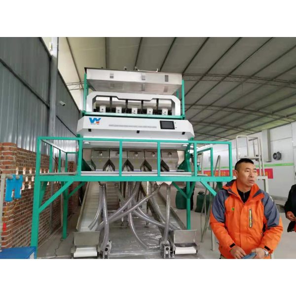 Mini Rice Color Sorting Machine Color Sorter For Yellow/Bastami Rice With Best Quality By Wenyao
