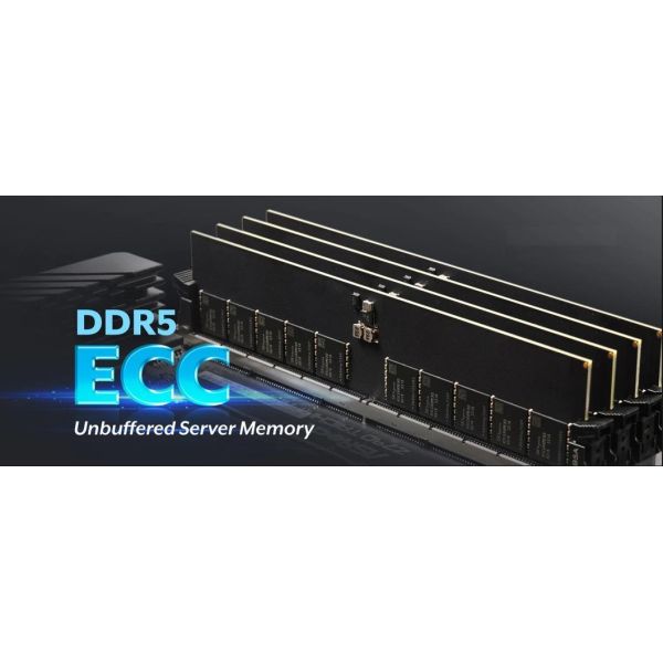 DDR3 Ecc Server Memory 32GB 1600MHz 4G*4 4r*4 1.2V PC4-12800 Ecc R-DIMM Kits (X2)