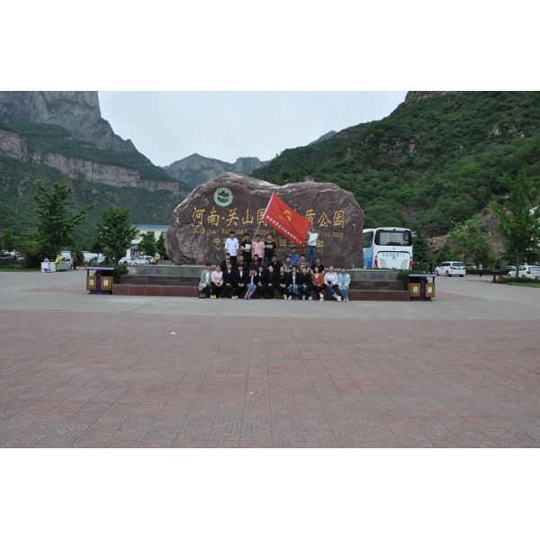 Steel Tracks Rail Cart Wheels , 500mm 1 - 300 Tons Double Flange Crane Wheels