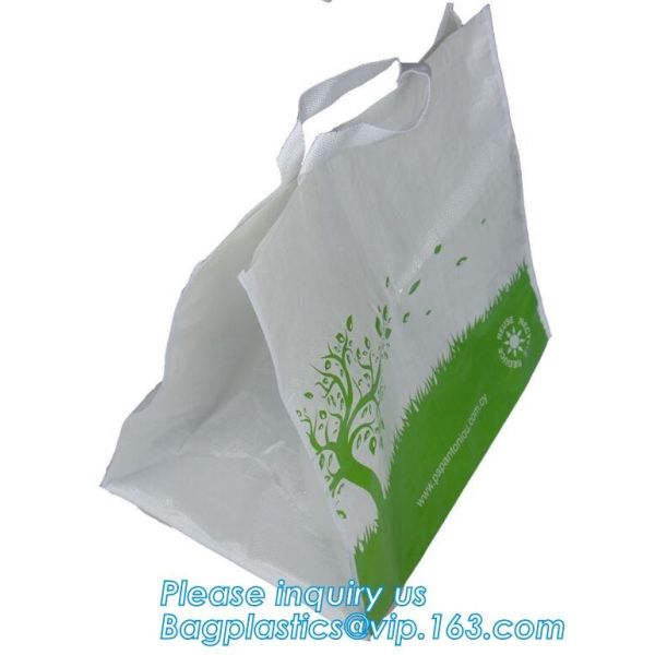 Popular Foldable Reusable Laminate Cheap Print Tote PP Woven Shopping Bag,China cheap custom logo pp woven recycle shopp