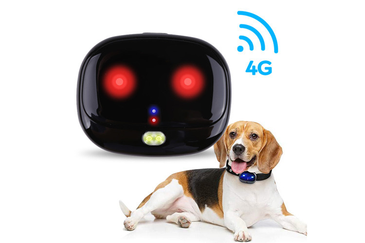 China Mini IP67 Positioning Pet GPS Tracker With 500mA Battery Capacity wholesale