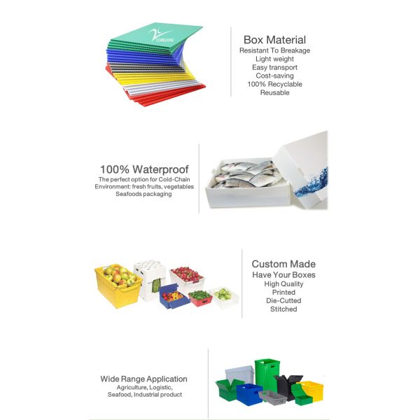 Reusable PP Honeycomb Foldable Plastic Pallet Box For Auto Parts