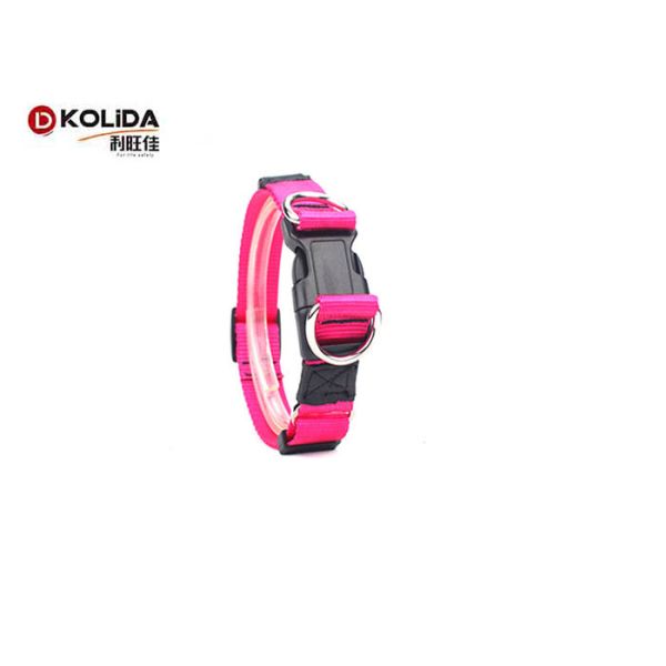 Personalized Nylon Dog Collars Custom Double D Ring Release Buckle C605