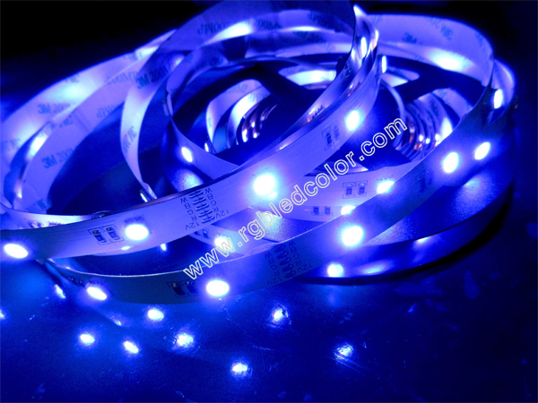 DC12V 24V RGBW LED STRIP 30LED/M
