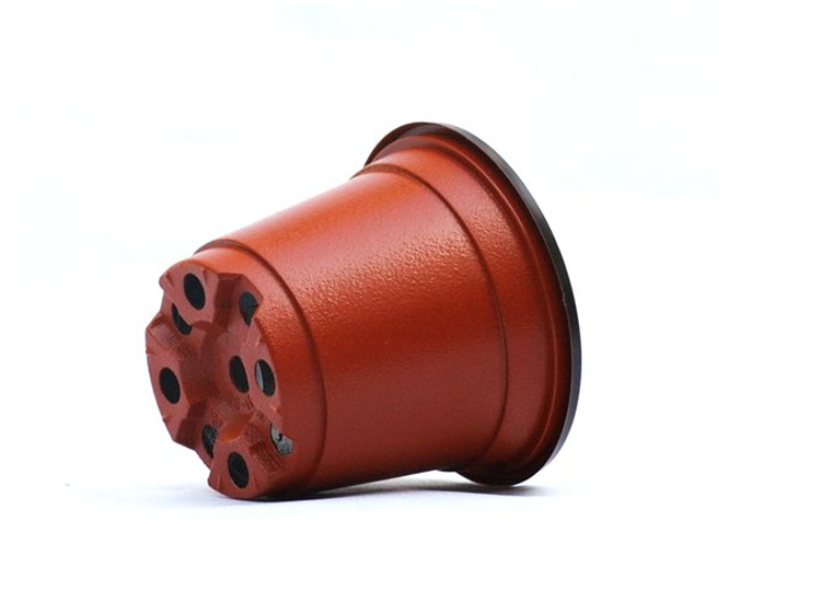 Greenhouse Using Bicolored Small Plastic Flower Nursery Pots For Seeds