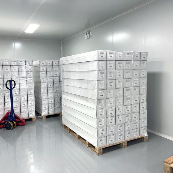 6.5mil TPU Sunflower Yellow Color PPF 1.52m X 15m Color Auto Paint Protection Film