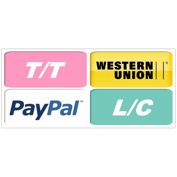 MONARCH CONTROL PANORAMIC ELEVATOR LIFT GERMAN ORIGIN 630-1600KG CAPACITY