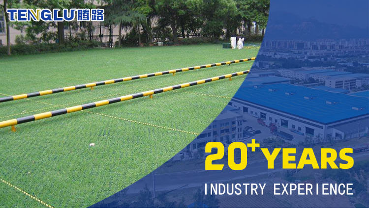 Outdoor HDPE PE Grass Planting Grid for Green Black Car Driveway Lawn Parking Lot