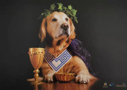 0.15mm Plate Newspaper Offset Printing Machine Multi Color 10000IPH