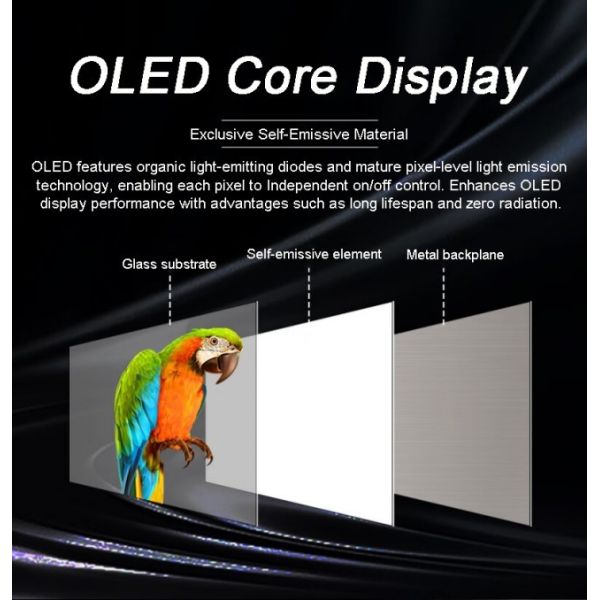 55 Inch Interactive Touch Advertising Screen Smart Transparent Oled Display for Exhibition Jewelry Luxury Display