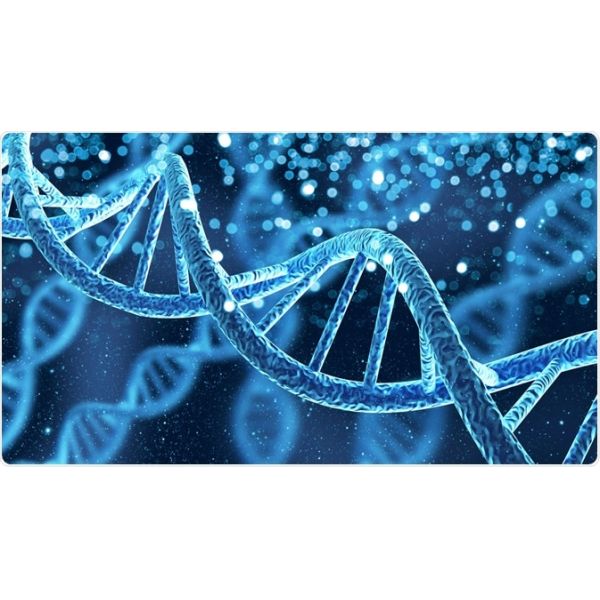 Sars-Cov-2 Rt-Pcr Test Kit nasopharyngeal swabs ISO13485 Certification