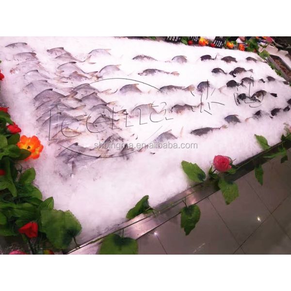 Small Commercial Cheap Ice Block/flake Ice Making Machine/ice Maker