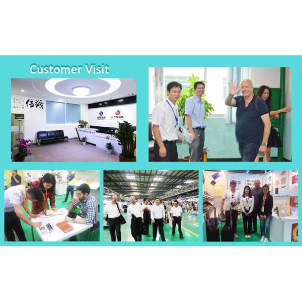 4x8 Bubble Wrap Shipping Bags , Poly Mailer Envelopes With Bubble Wrap Inside